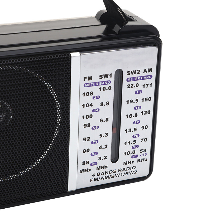 Large volume audio system, multifunctional portable radio