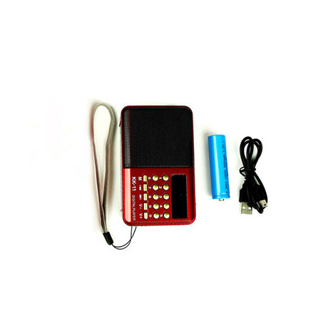 Card insertion portable multifunctional radio recorder