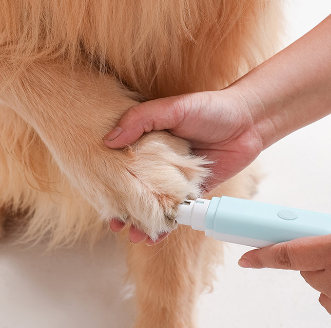 2-in-1 multifunctional electric pet nail polish remover