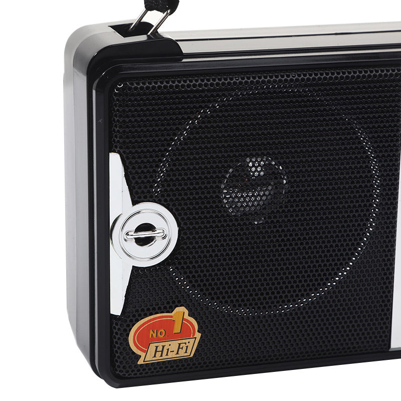 Large volume audio system, multifunctional portable radio