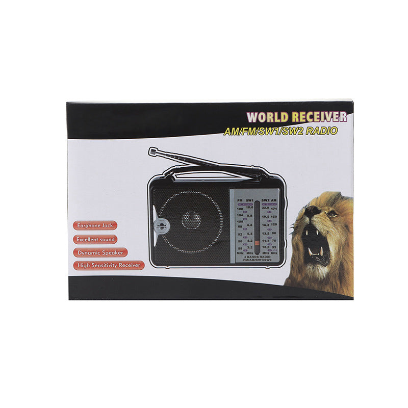 Large volume audio system, multifunctional portable radio